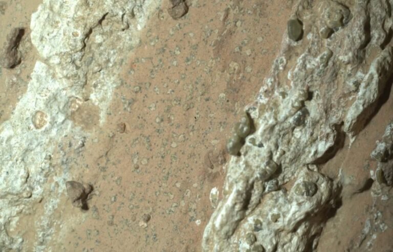 Manchas escuras registradas pelo robô Perseverance em julho de 2024 podem indicar reações químicas ligadas à presença de vida no passado